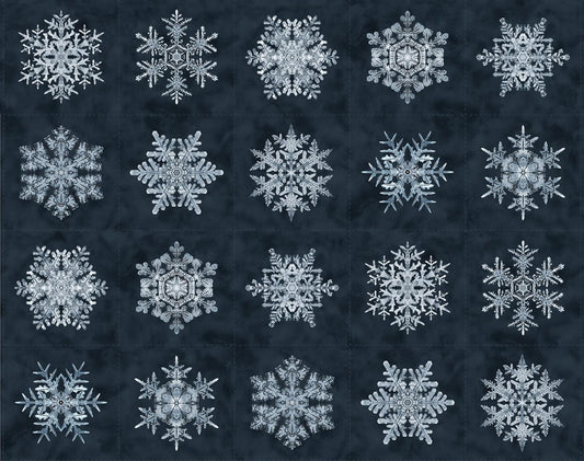 Bentley's Snowflakes - Snowflakes - R650952D-Navy