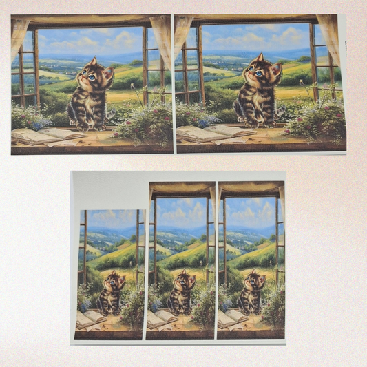 Colorful Cat Chapstick/Gift Card - Open Window