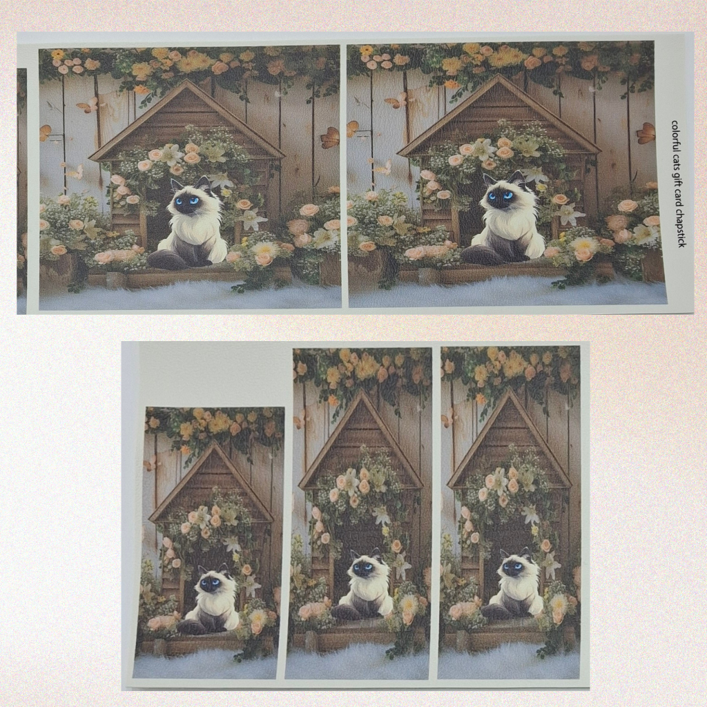 Colorful Cat Chapstick/Gift Card - Serene Siamese