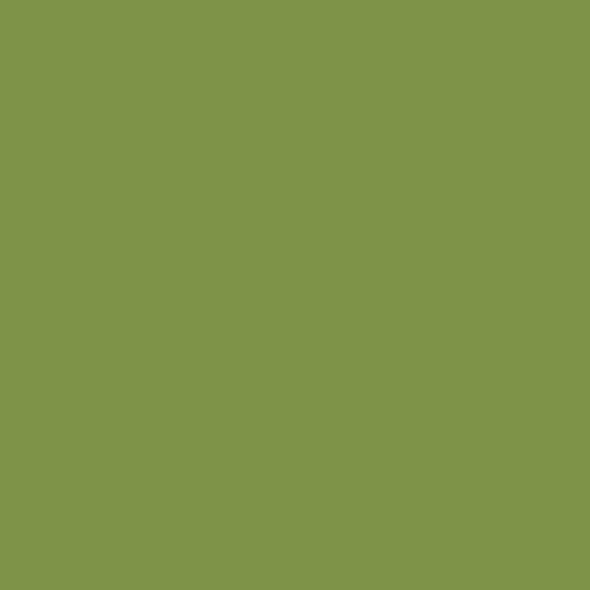 Eco Cotton - Meadow - LMEC-645