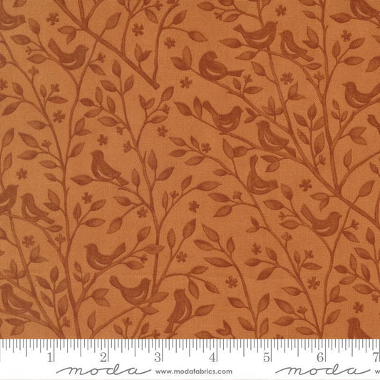 Family Tree Ginger 56161 21