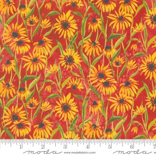 Floribunda Create Joy - Spice - 539805-14