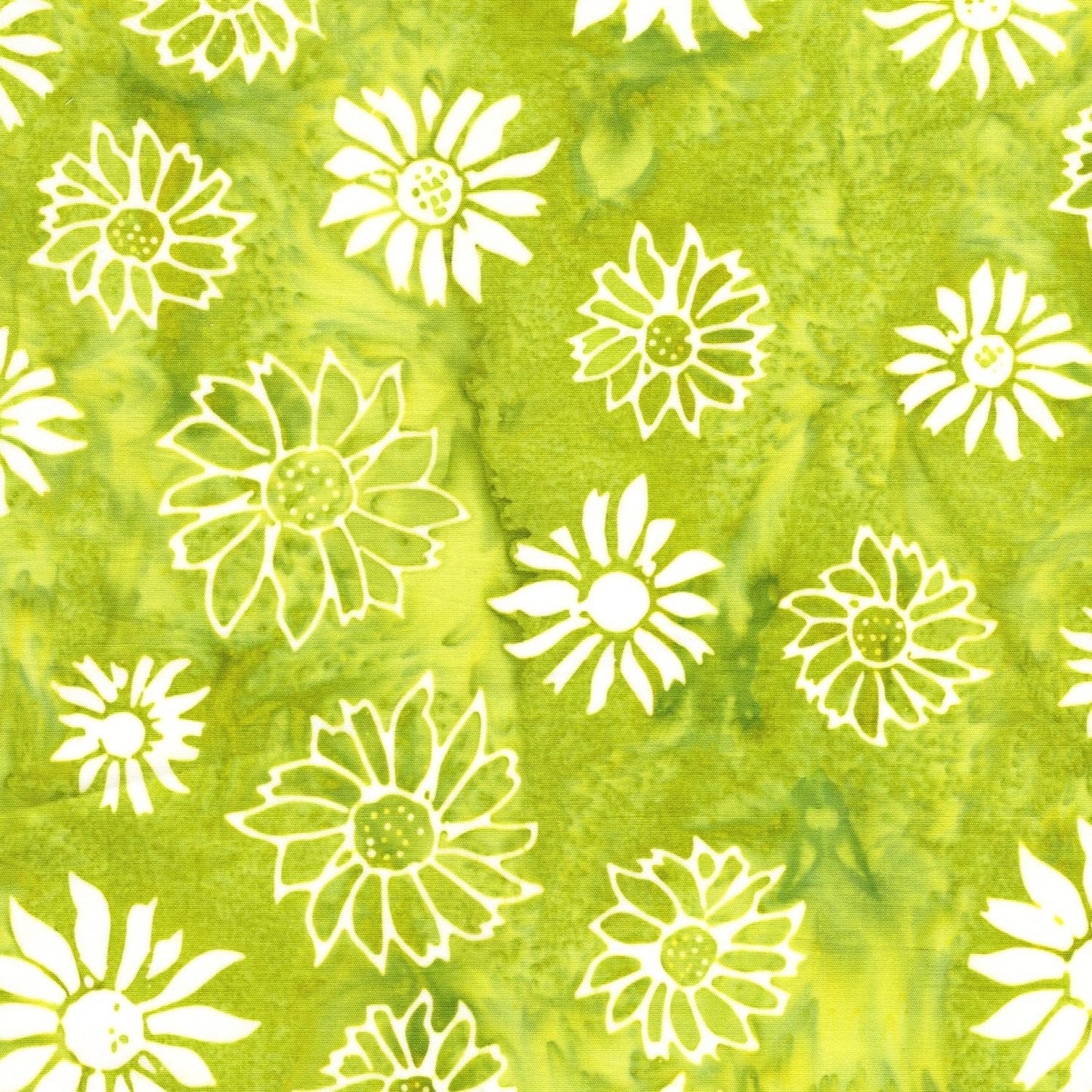 Gaia - Frosted Foliage - Flower Heads-Green Seedling - LM912503 625