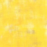 Grunge Basic - Sunflower - 530150-281