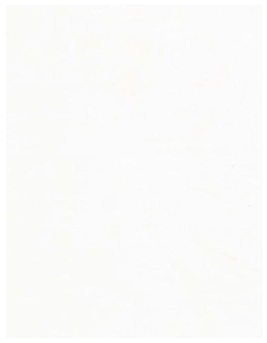 Java Blenders - Tissue - B7900-TIS