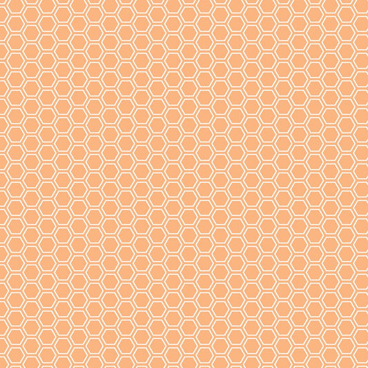 Kimberbell Basic - Orange - Honeycomb - 8256-O