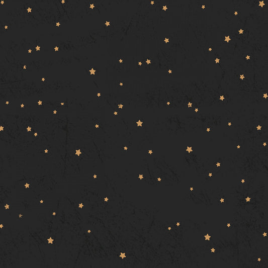 Living the Dream - Black Flannel Stars # Y4538-3