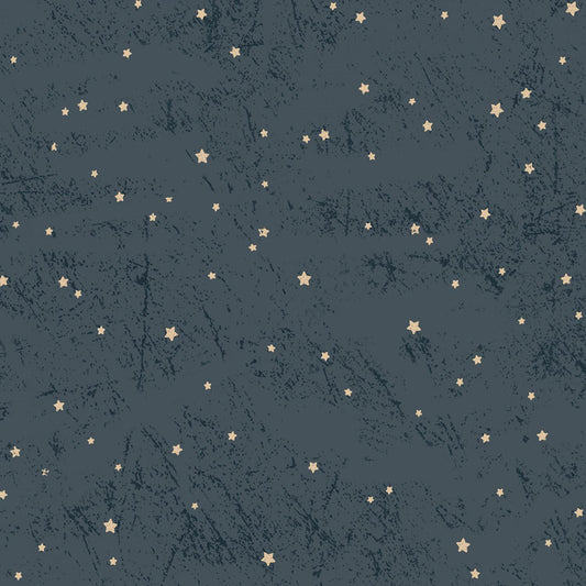 Living the Dream - Light Navy Flannel Stars # Y4538-93