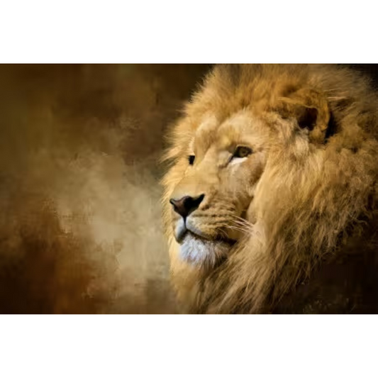 Male Lion in Repose 26.5x16.75in Panel # AWC-009