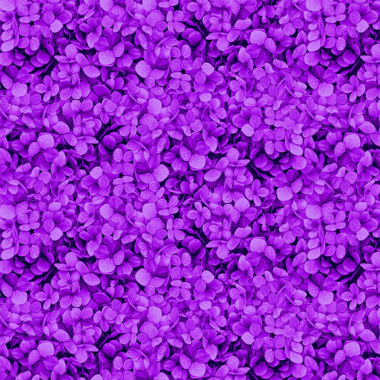 Midnight Bloom - CD3387-Magenta