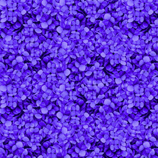 Midnight Bloom - CD3387-Purple