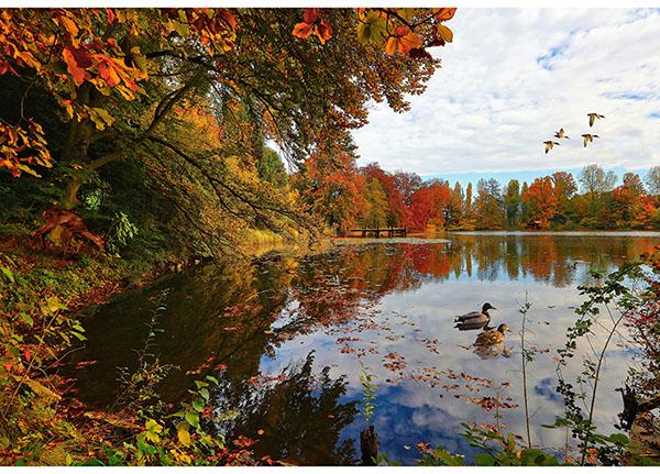 On The Path To Fall - Panel - 25790-11