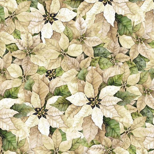 Poinsettia Radiance - Pack Poinsettia - Cream - LMW110-6-006