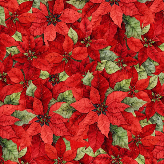 Poinsettia Radiance - Pack Poinsettia - Red - LMW110-6-336