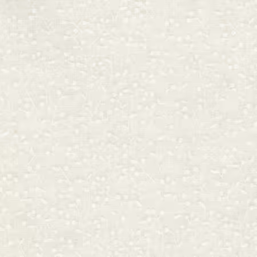 Ramblings - White on White Berry Branch # RAM8732-W