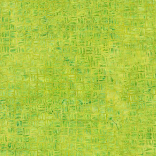 Seaside - Dash - Lemon Lime - 711903612