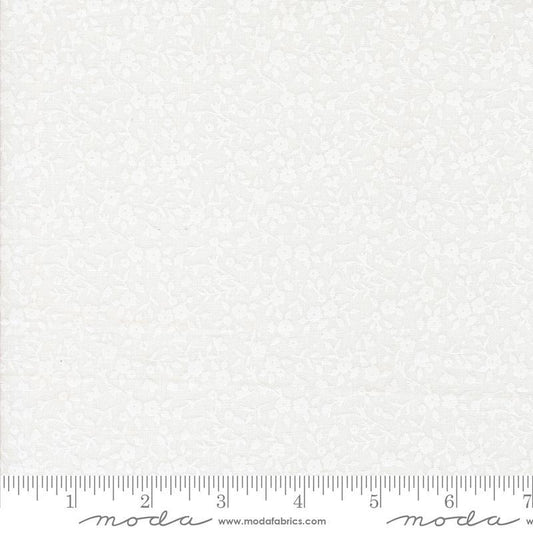 Sun Drenched - Cloud White - 543205-21