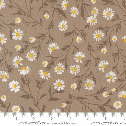 Sun Drenched - Tan - 543200-13