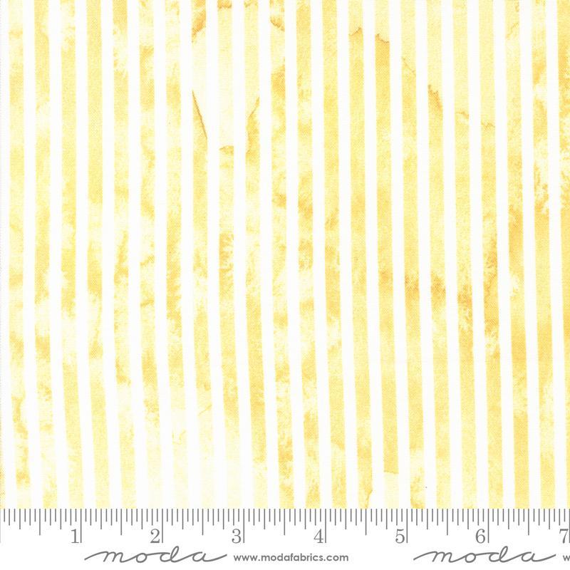 Sunshine & Blue Skies - Sunshine - 539834-12