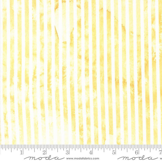 Sunshine & Blue Skies - Sunshine - 539834-12