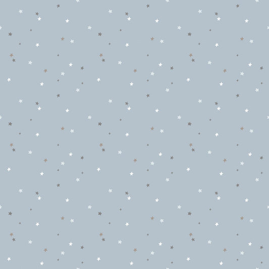 Till the Cows Come Home Flannel - RBF16114-SKY