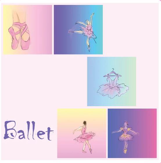 Zipper Bag Panel Ballet