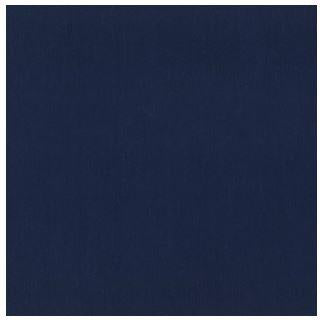 Biosmart Antimicrobial Cloth - CL1BAC-nav