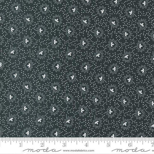 Harvest Moon Midnight - Black - 520475-18