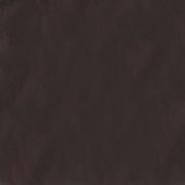 Pacific Silver Cloth - CL1PSC