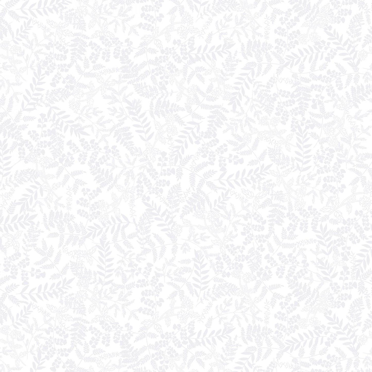 Rhapsody in White - Fern Garden - 14249-09