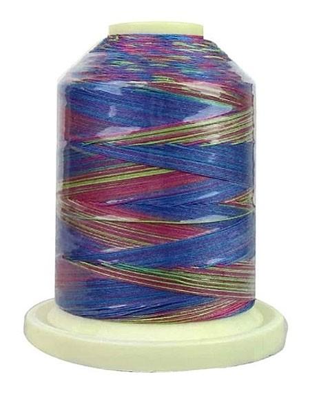 Signature Thread - Varigated - Fad 5 - 700 Yards - T41SM016