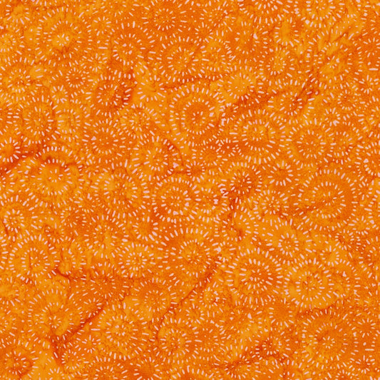 Splash - Carrot - 22389-151