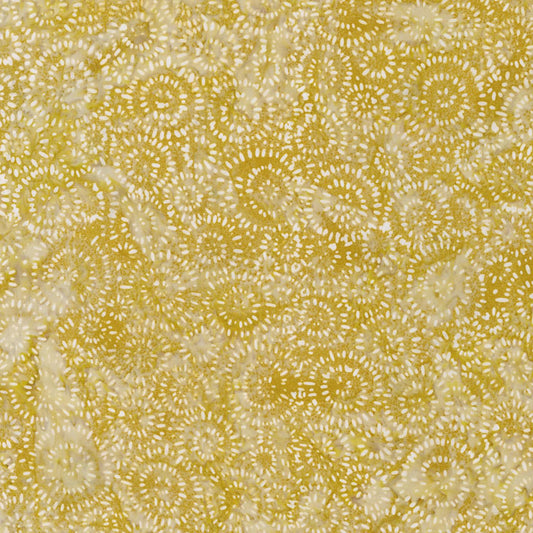 Splash - Gold - 22389-133