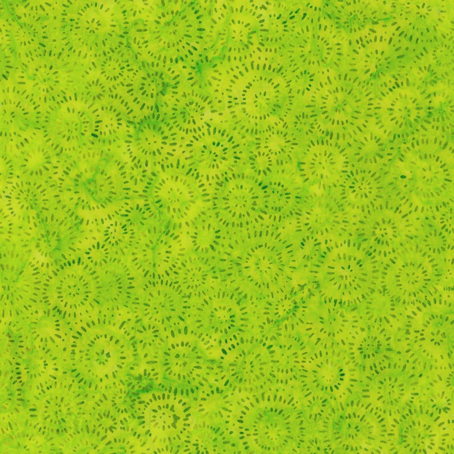 Splash - Lime - 22389-50