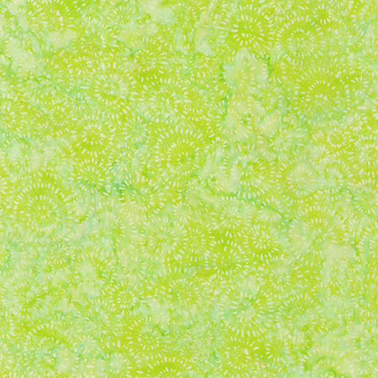 Splash - Pear - 22389-46