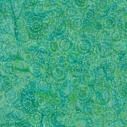 Splash - Pistachio - 22389-52