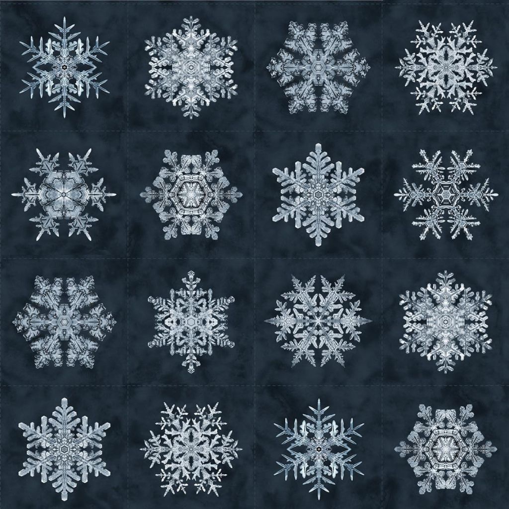 Bentley's Snowflakes