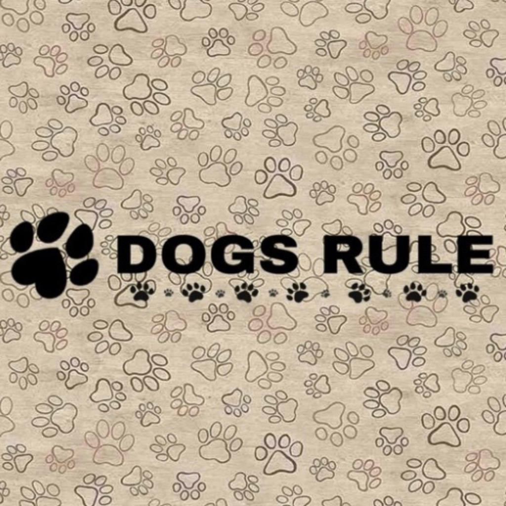 Dogs Rule