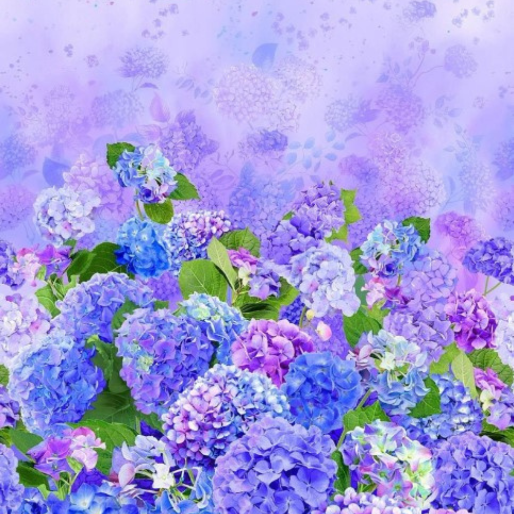 Hydrangea Bliss