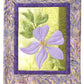 Applique The Basics and Beyond Second Revised & Expanded Edition # L225A