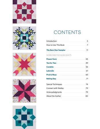 Barn Star Sampler # 11581
