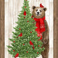 Beary Merry Christmas Panel - 27056-10