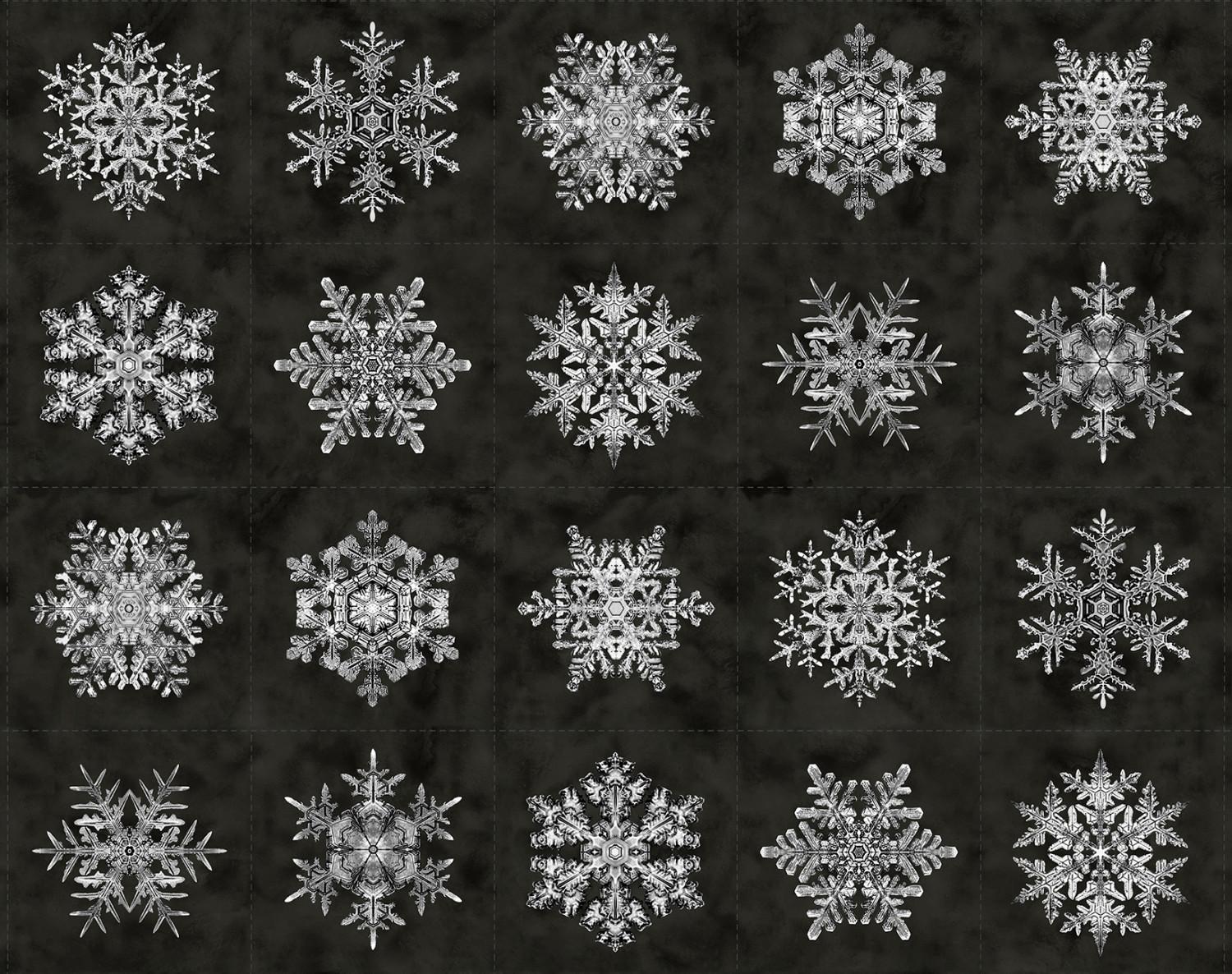 Bentley's Snowflakes - Snowflakes - R650952D-Charcoal