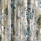 Blue Autumn - Multicolor Rustic Birch # 24591-MLT