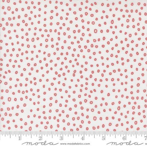 Botany - Seeds - Paper - 511556-14