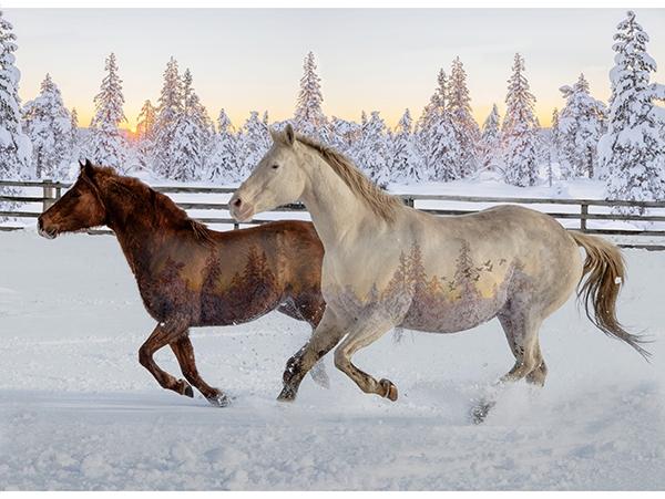 Call of the Wild - Sunset - 25377-151