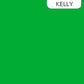 ColorWorks Premium Solid - Kelly - 9000-72
