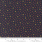 Flannel Season Kansas Trouble - Indigo - 59845F-14
