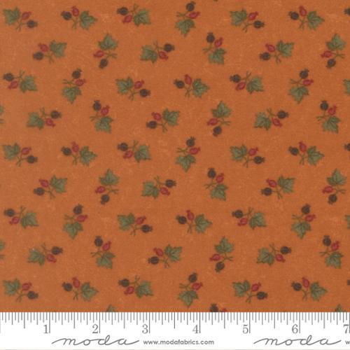 Flannel Season Kansas Trouble - Pumpkin - 59843F-17