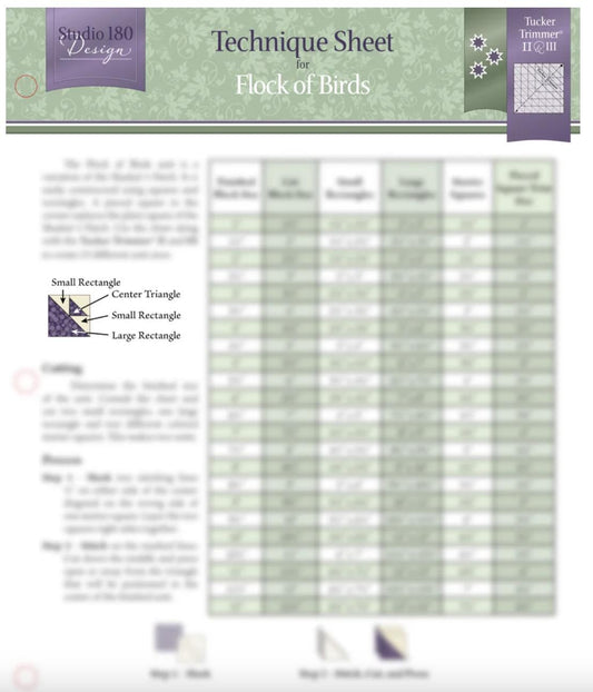 Flock of Birds Technique Sheet - DTEC39